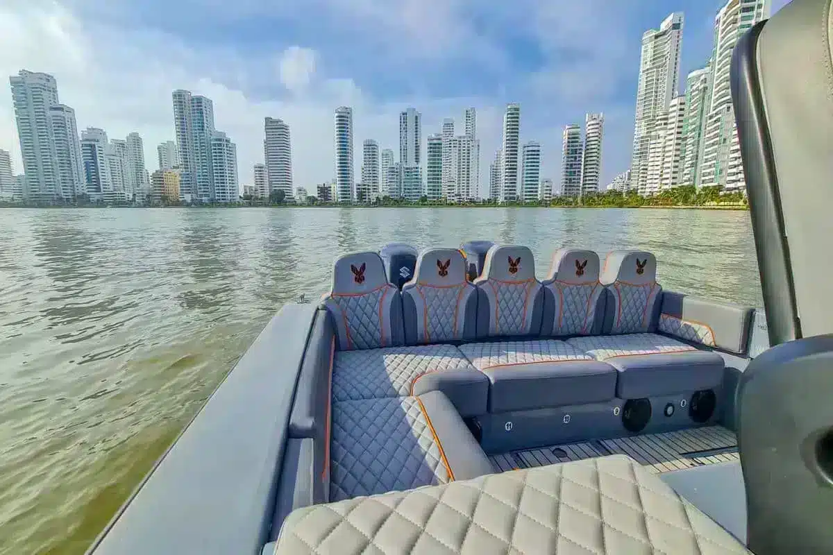 Lancha Black Bunny - Image 7