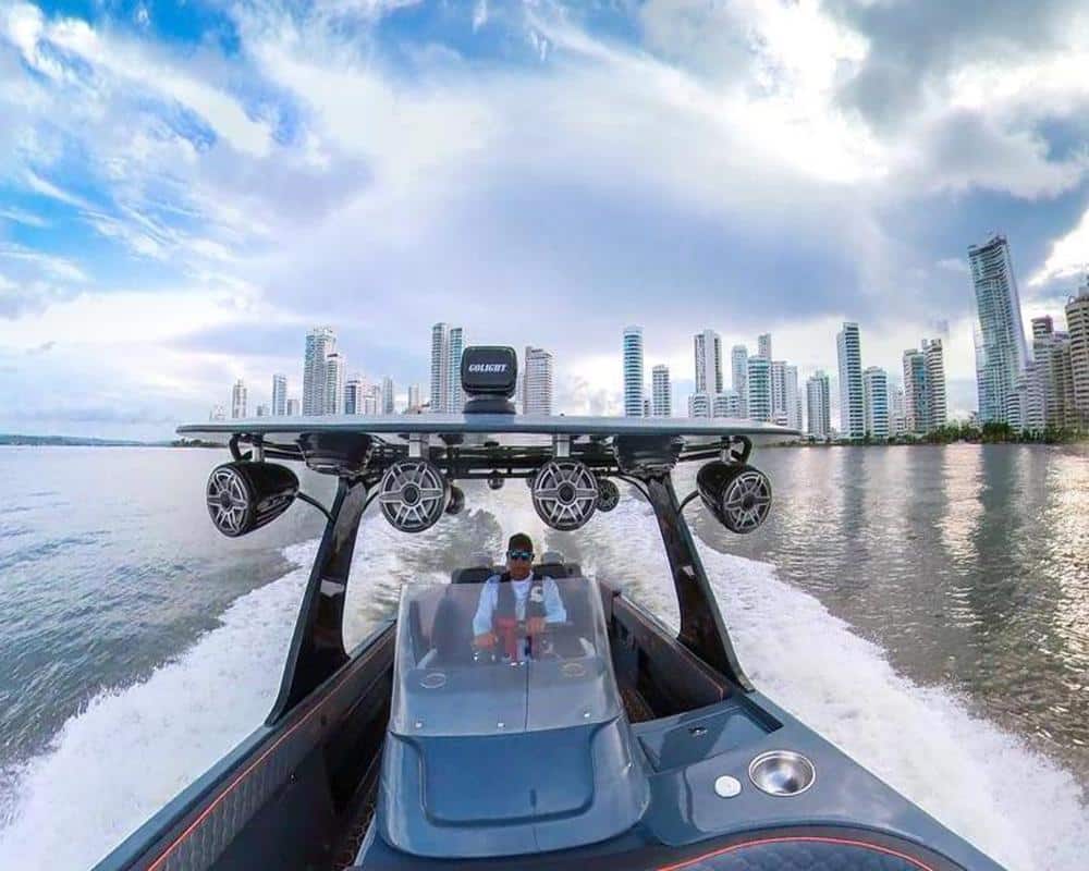 Lancha Black Shepp - Image 11