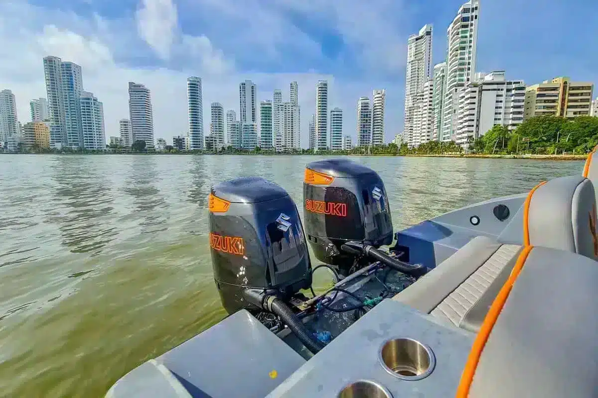 Lancha Black Bunny - Image 5