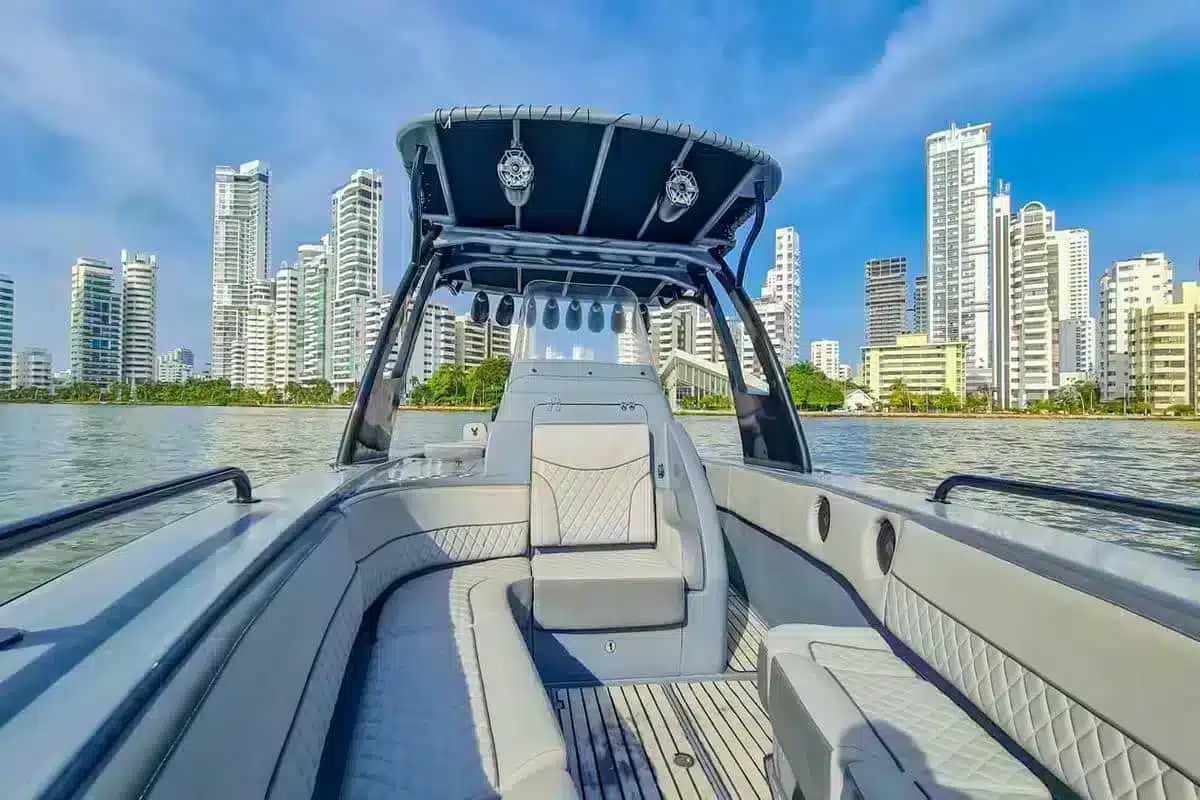 Lancha Black Bunny - Image 3